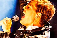 The Hives