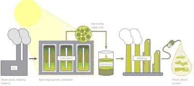 Biofuels Production Process