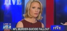 Dana Perino blames domestic violence victims