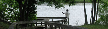 boy wading in pond