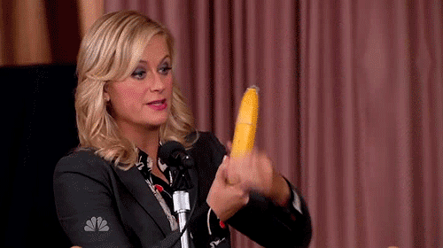 30 Lessons We Learned From Amy Poehler In 2012