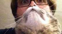 Cat Beard