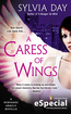 A Caress of Wings