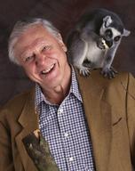 David Attenborough's Madagascar