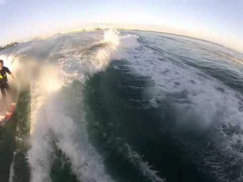 Surfing with dolphins