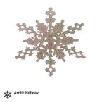 Arctic 7.25 in. Snowflake Ornaments (12-Piece)