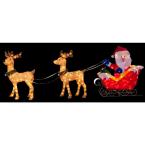 Santa in Sleigh with Two Deer