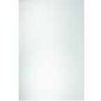 Miriana 60 in. x 36 in. Polished Edge Mirror