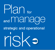 Plan For And Manage Strategic And Operational Risk