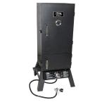 Charcoal and Propane Steel Smoker