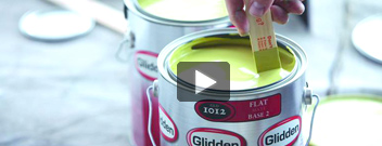 Glidden® DUO™Paint + Primer