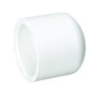 1/2 in. PVC Cap