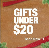 Gifts under $20