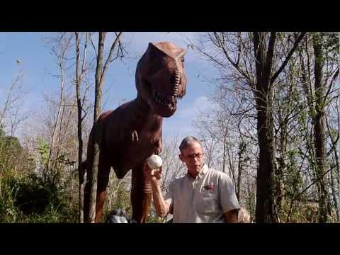 Dinosaur World's T-Rex