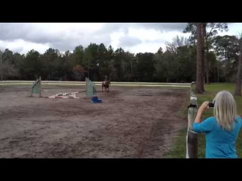 Carly galloping bareback