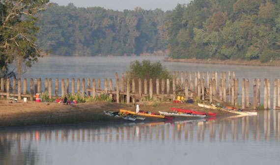 Alum Bluff campsite, Apalachicola River Blueway