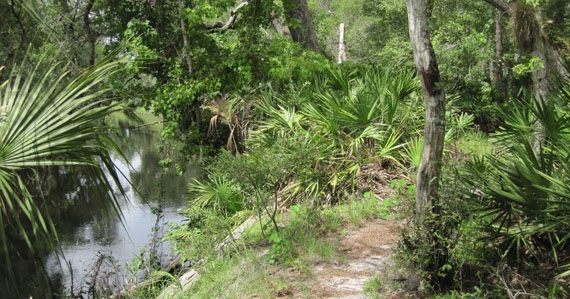 Florida Trail along the Econ River