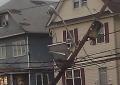 One of many telephone poles snapped like a toothpick in the New York metro area by Hurricane Sandy