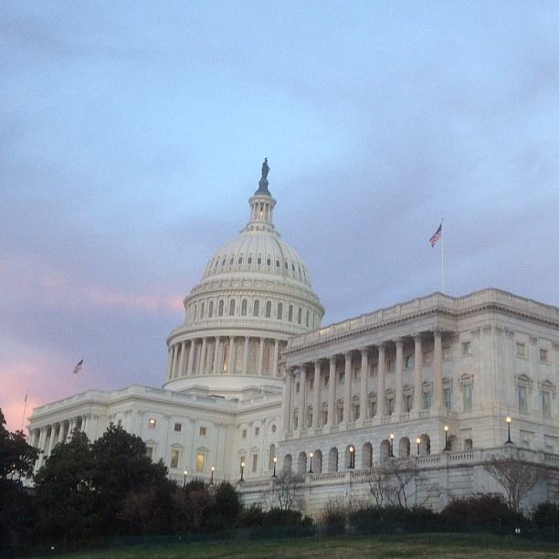 Perfect 66 degrees in #dc for Capitol Christmas Tree lighting. #capitolchristmas