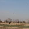 ANSF, Rakkasans combat insurgency in rural Paktya [Image 4 of 19]