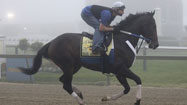 2009 Preakness week