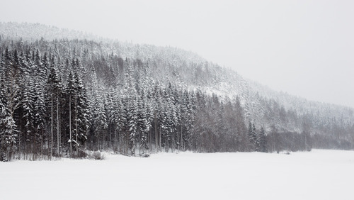 Monochrome Sweden.
View bigger.