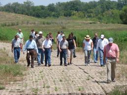 Dallas chain of wetlands creates habitat, lowers flood risk