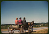 Going to town on Saturday afternoon, Greene Co., Ga. (LOC) by The Library of Congress