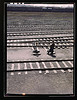 Switchman throwing a switch a C and NW RR's Proviso yard, Chicago, Ill. (LOC) by The Library of Congress