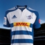 New Stormers Jersey