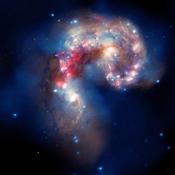 A new image of two tangled galaxies has been released by NASA's Great Observatories. The Antennae galaxies are shown in this composite image from the Chandra X-ray Observatory, the Hubble Space Telescope, and the Spitzer Space Telescope.