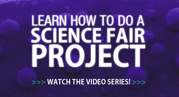 How to Do a Science Fair Project