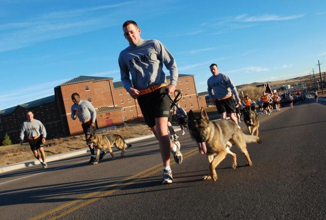 FORT CARSON, Colo. - Spc. Michael Mumby, canine handler, 148th Military Police Detachment, 759th MP Company, and his partner, a German Shepherd named Sgt. Chat who works as a patrol narcotics detection dog, kept pace with the Mountain Post Team during a four-mile installation run to honor veterans Nov. 5. U.S. Army tradition dictates that the dog is always one rank higher than the handler of a canine team.