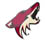 Phoenix Coyotes