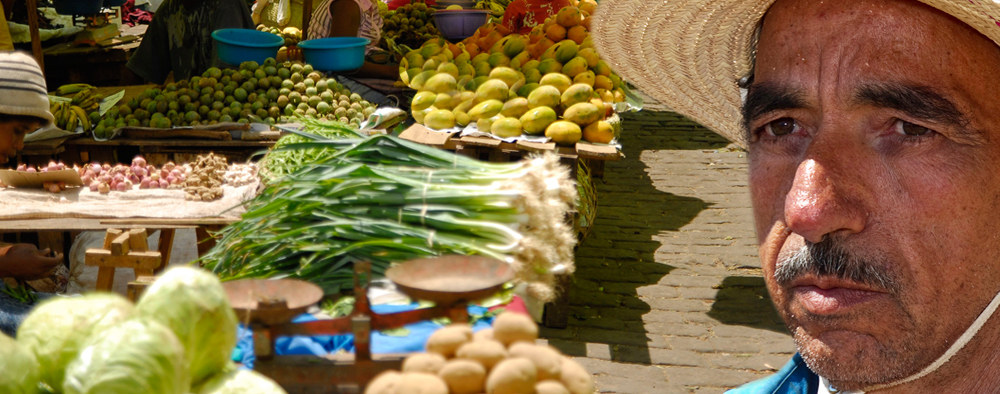 The Political Economy of Food Security in North Africa