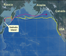 Migration Map