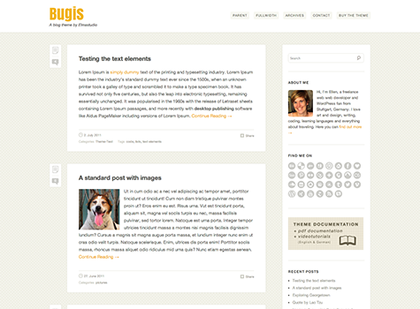 Bugis Premium WordPress Theme