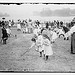 Farm for children, N.Y.C. (LOC)