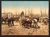 [The wharf, Naples, Italy] (LOC) by The Library of Congress