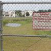 Alligators spotted on Marine Corps Base Camp Lejeune [Image 1 of 2]