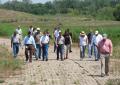 Dallas chain of wetlands creates habitat, lowers flood risk