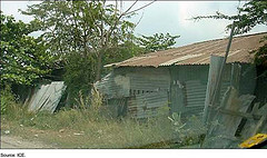 Figure 5: Facility in Thailand Falsely Described as Honey Manufacturing Plant