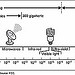 Figure 1: The Electromagnetic Spectrum