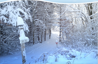 Snow covered park trail