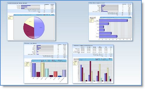 Create Powerful Reports