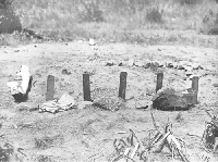 Rough riders grave sites