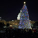 Capitol Christmas Tree 2012