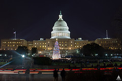 2012 Capitol Christmas Tree