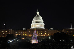 Capitol Christmas Tree - 2012