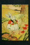 Peter Rabbit